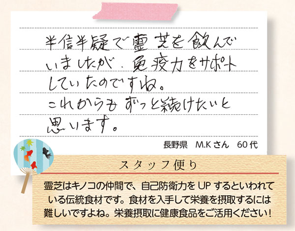 γ 300mg180γ <Хꥢǽݡȡ-륫ͭ>