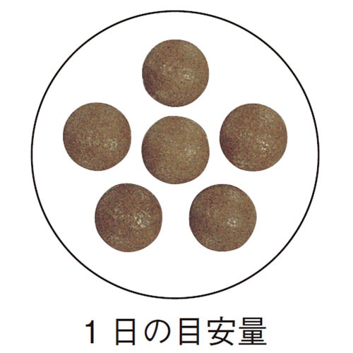 γ 300mg180γ <Хꥢǽݡȡ-륫ͭ>