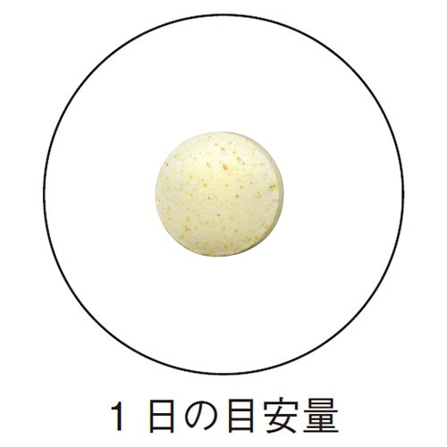 �ޥ���ӥ��ߥ� 300mg��30γ <14����α����Ǥ��Ψ�褯���>