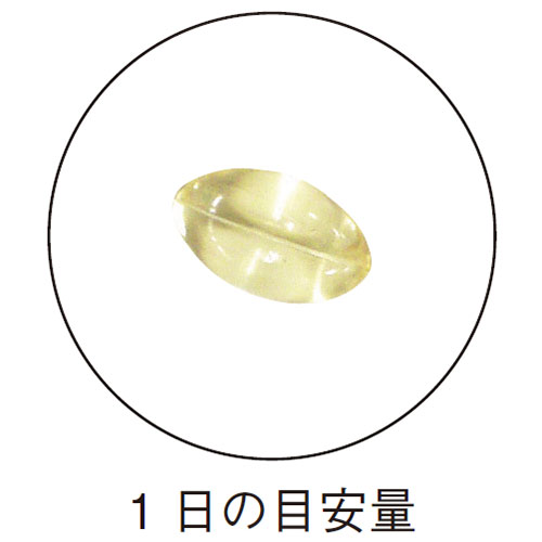 Ȭܤʤ 560mg30γ <ߥ>