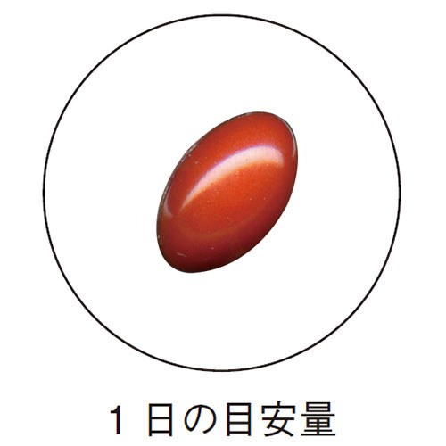 ڤ31%OFF ܤΤܤ䤱кץʥƥ <ϥå긫Ϥ򥵥ݡȡ> 2025/10/2511/30