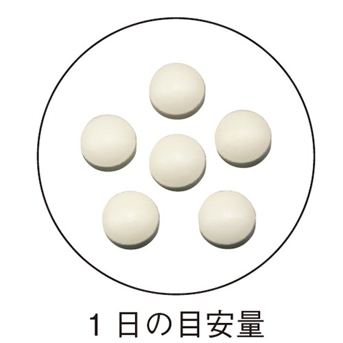 ���顼����γ 300mg��180γ <���ĤޤǤ�������������>