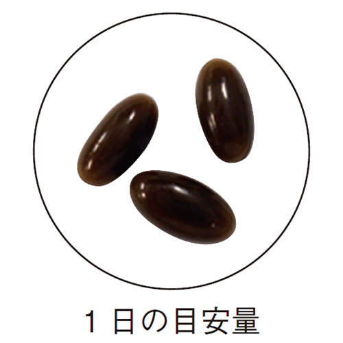 ڤ̾꡼  385mg90γ <η򹯤>