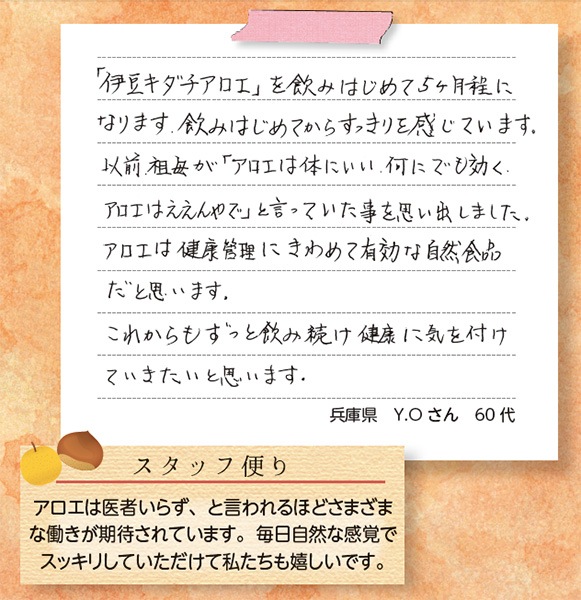 ڤ̾꡼ Ʀ 250mg120γ <īŬ>