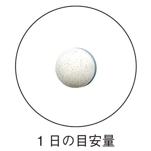 ��ʢ���������к����ץ�ʥ����������� ��ǽ��ɽ������ 200mg��30γ <�򹯿��Ǥ��԰¤�����>