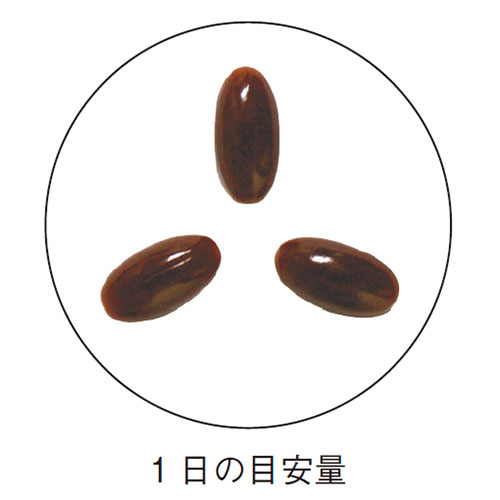 Υ䥷ץߥ 470mg90γ <ǯΥåŬ򥵥ݡ>