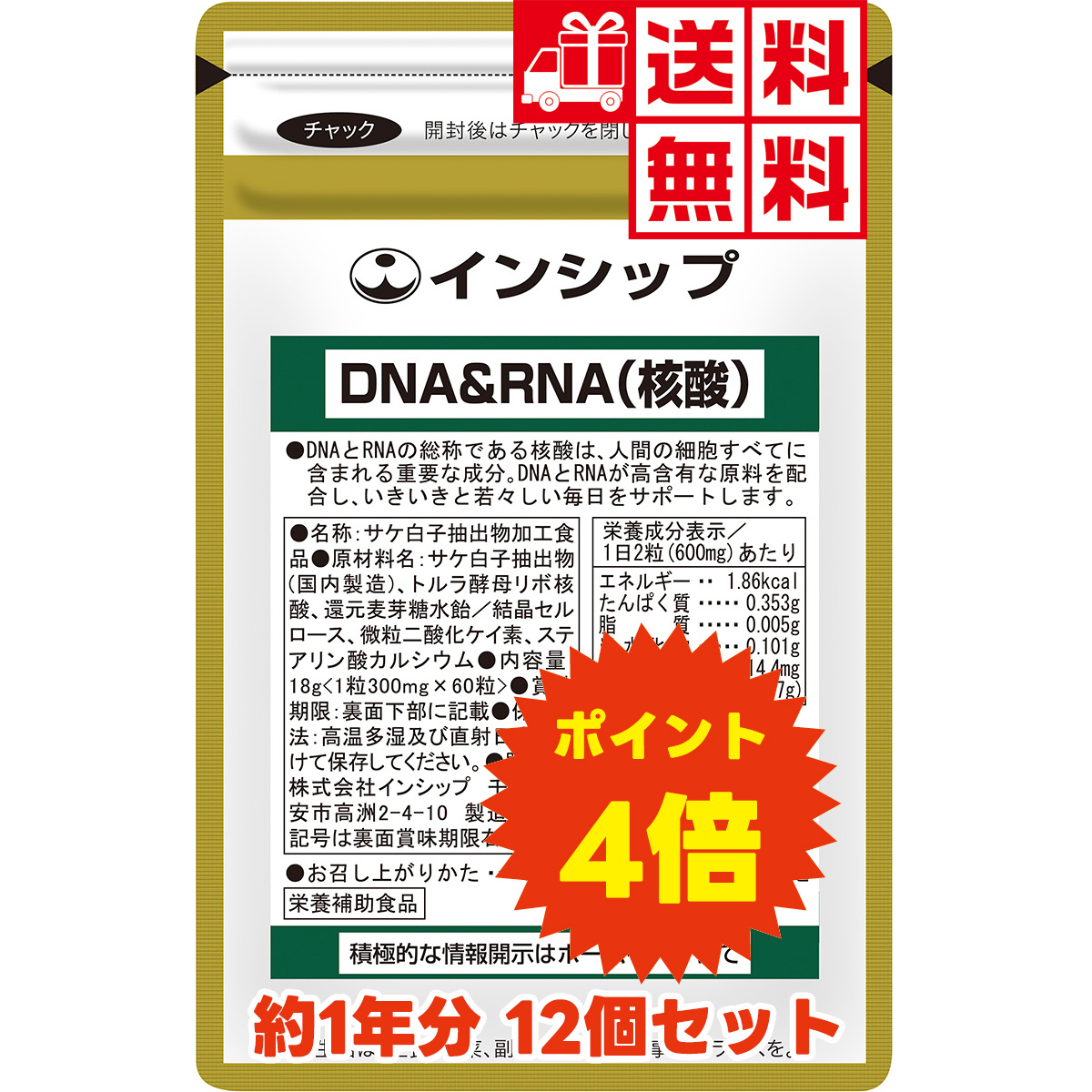 ��1ǯʬ�� DNA��RNA�ʳ˻��� ��12�ĥ��åȡۡ�����̵���ۡڥݥ����4�ܡ� <��˦�����ޤ��Ѥ��򥵥ݡ���>