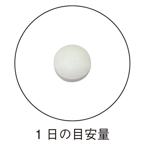 �ڤ��45%OFF�� ȩ��ʬ�к����ץ�ʥԡ�������ߥɡ� ��ǽ��ɽ������ <ȩ�����礷����������> ��2025/11/25��12/31��