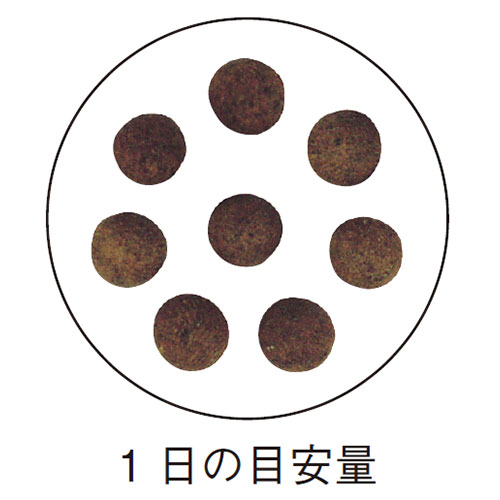 3ʬ ǽХγ 3ĥåȡ̵ۡۡڥݥ2ܡ <褯>