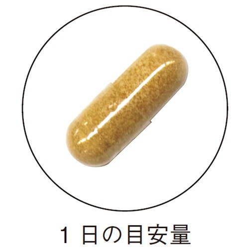 �񻺤���Ф�γ 186mg��30γ <�Ĥ���������ε����>