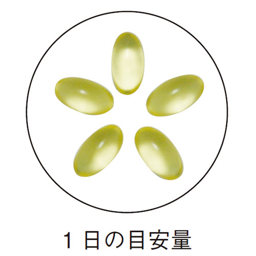 1ǯʬ EPA 12ĥåȡ̵ۡۡڥݥ4ܡ <ĵʬǥ饵齬>