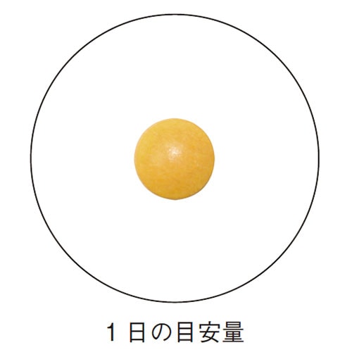 ڥåȤ37%OFF եեͽŴ襻åȡŴܥޥӥߥ եե顦饯ˡ <<2025/9/2511/24>>