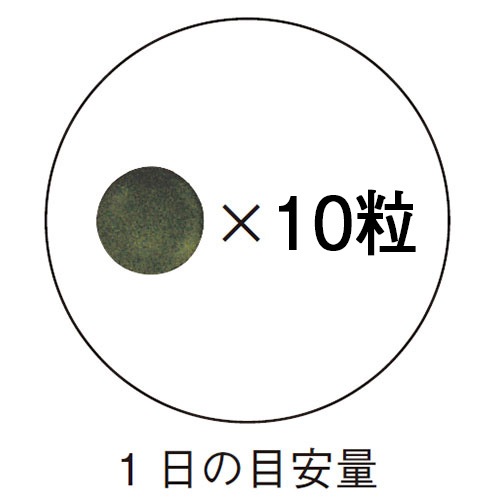 ڤ15%OFF  <в­> ڿ¤ʤ