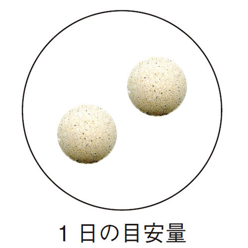 кץʥ饰 ǽɽ 250mg60γ <̣BMIͤˡ>