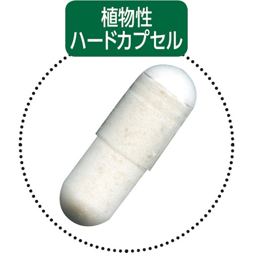 ڤ20%OFF ӥեݥץߥ <ʪ̤ƻ٤ƤǶݳ> ڿ¤ʤ