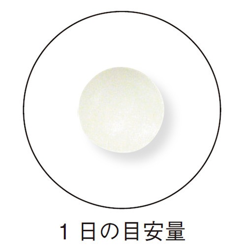 ڤ20%OFF Ĺ̵˥˥γ <̵¿ߤʤѥ> ڿ¤ʤ