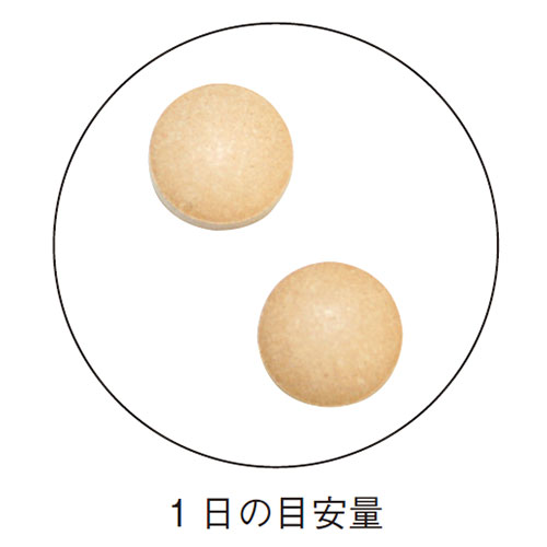 �ڤ��36��OFF�� �ں����礦��γ <�ݤ��ݤ������ˡ�> ��2025/12/15��2026/1/31��