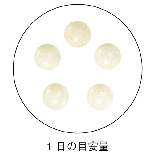 �ڤ��29%OFF�� �����к����ץ��HMB�� ��ǽ��ɽ������ <���Ϥΰݻ����㲼�����ˡ�> ��2025/11/25��12/31��