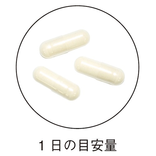 를꡼ 340mg90γ <˪̿>