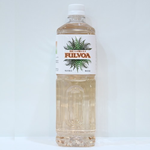 �ե�ܻ������� FULVOA���������忢����бաʥե�ܻ���������