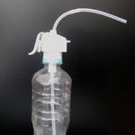 ���ܤ�ʤ������ϥ������ȥ���