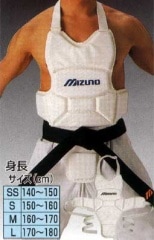 ƹ�ץ��ƥ�����  ����ʡ�������