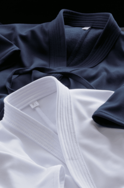 ��ƻ�塡�ե�����ɥ��󥵡� �����򡡡ʥ��㡼����ƻ���