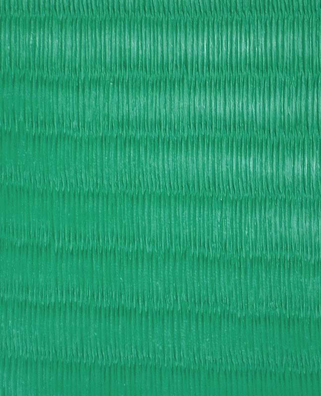 ��ž��������������˥�󥿥뤷���������������ͤ��ʼ�������ʤ������ǽ�Ǥ�