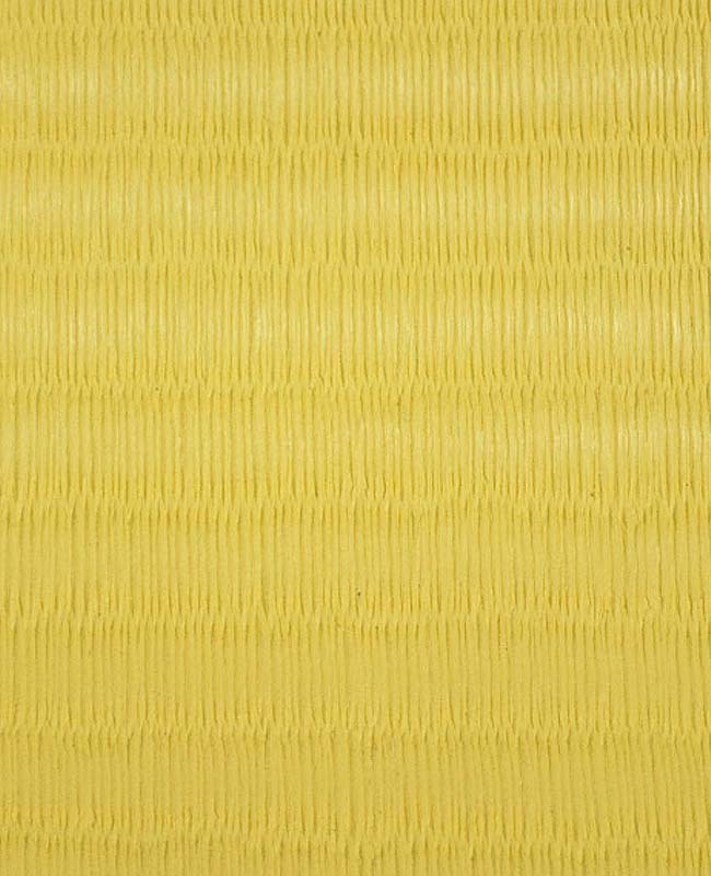 ��ž��������������˥�󥿥뤷���������������ͤ��ʼ�������ʤ������ǽ�Ǥ�