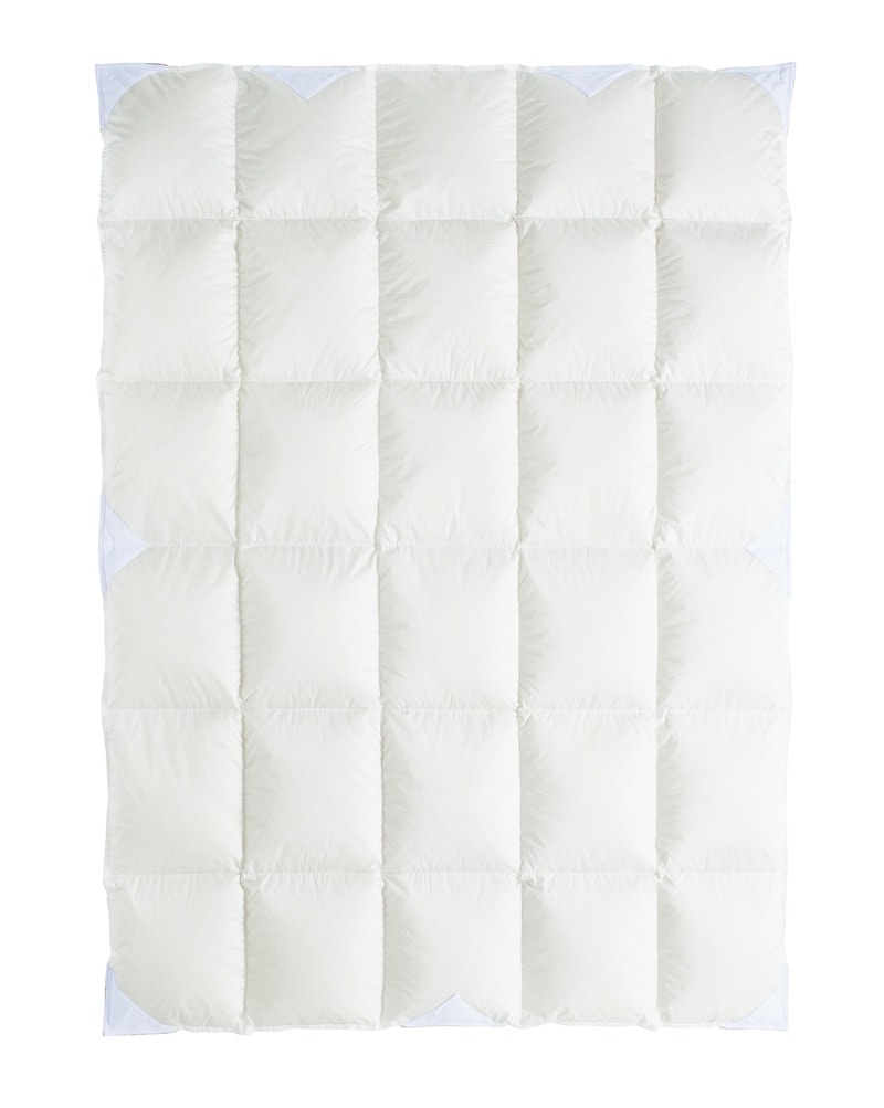 西川 プレミアム 羽毛肌掛けふとん スーパークイックシステム クイーンロング (QL)  210×210cm NP7058