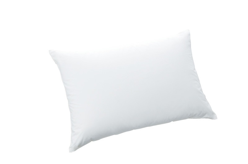 西川 枕 ダウンピロー 70×50cm 0.4kg EH22159005
