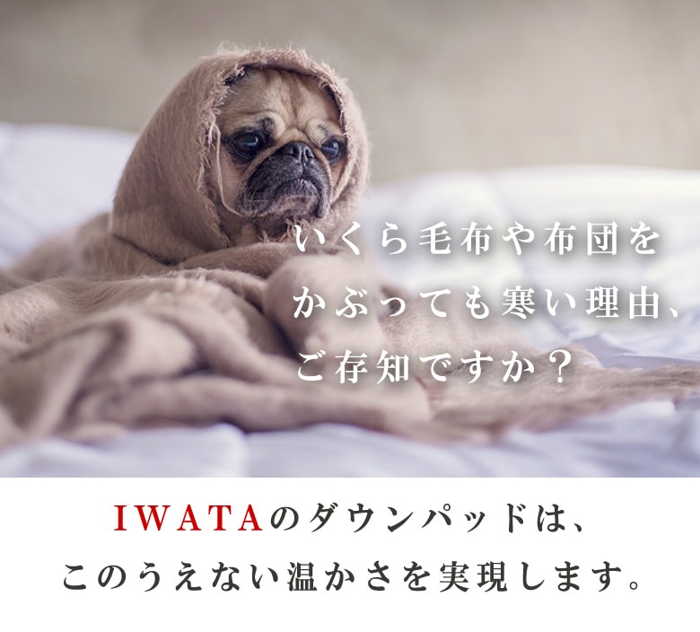 イワタ　羽毛　敷きパッド　ダウンパッド　クイーンサイズ　