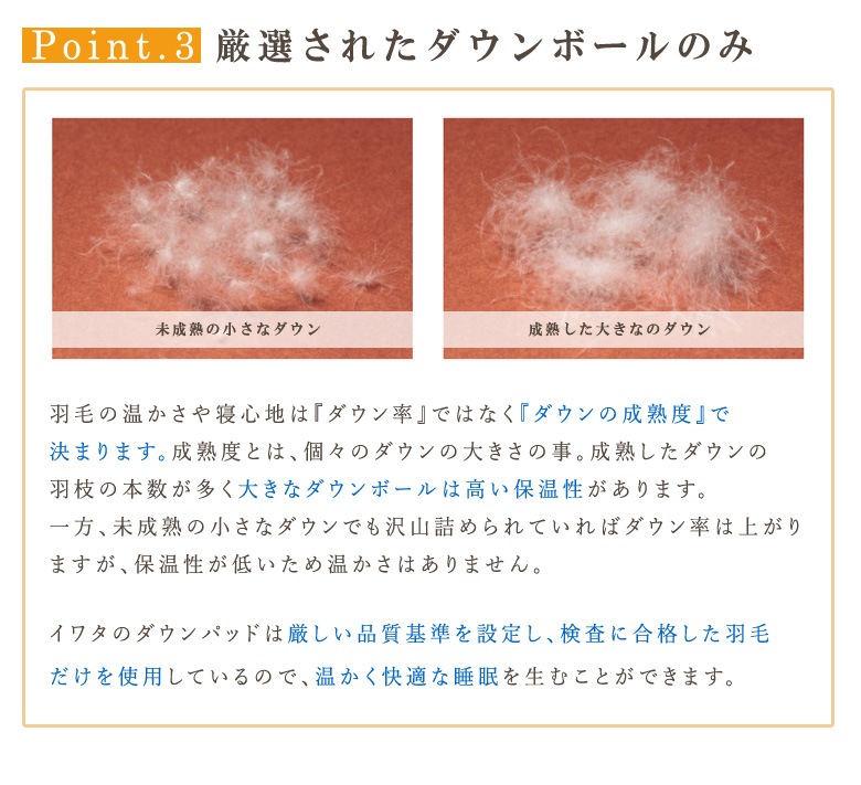 イワタ　羽毛　敷きパッド　ダウンパッド　クイーンサイズ　