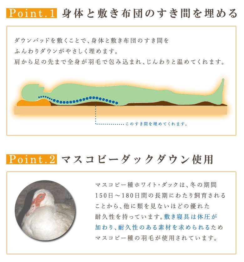 イワタ　羽毛　敷きパッド　ダウンパッド　シングルサイズ　