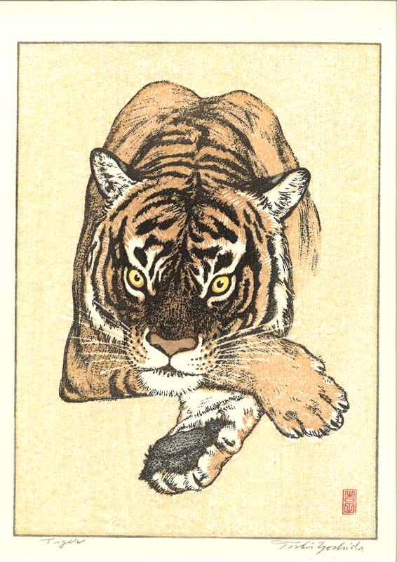 タイガー　Tiger
