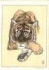 タイガー　Tiger