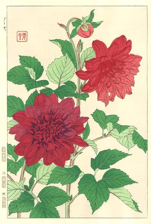 F041 䡡ǲ Flower Woodcut Dahilia 