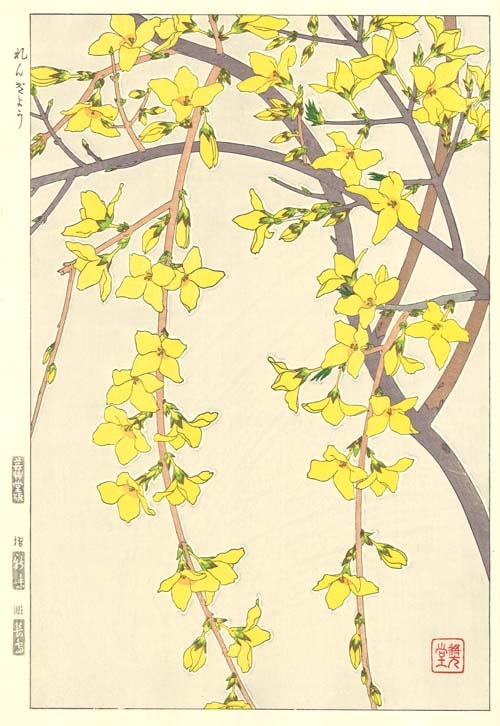 F095 れんぎょう 花版画 Flower Woodcut ‐Golden ball‐