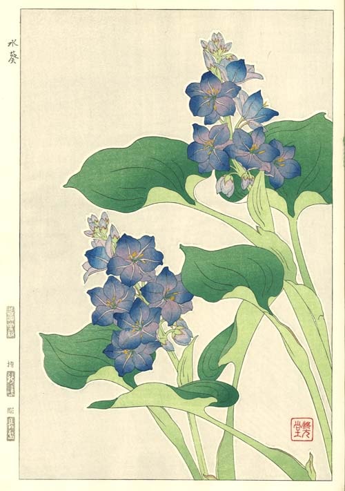 F125 尪 ǲ Flower Woodcut Water hyacinth