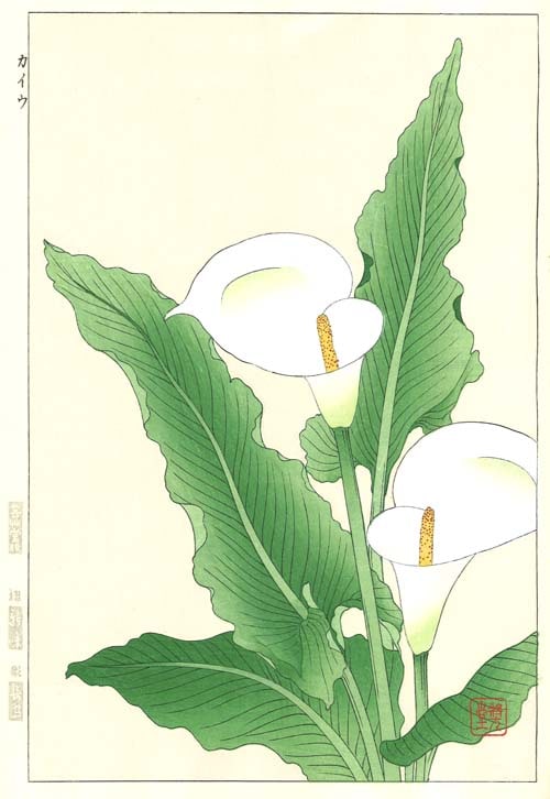 F138 カイウ 花版画 Flower Woodcut ‐Calla lily‐