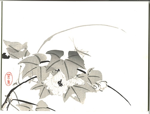 5284 木版画集 *栖鳳習画帖 全4冊* 山水 風景 鳥 動物 古書 絵図集 5284 木版画集 *栖鳳習画帖 全4冊* 山水 風景 鳥 動物 古書