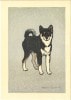 紋次郎　Puppy (Monjiro)