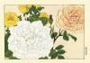 谷上廣南 木版画 バラ Konan Tanigami Woodcut
