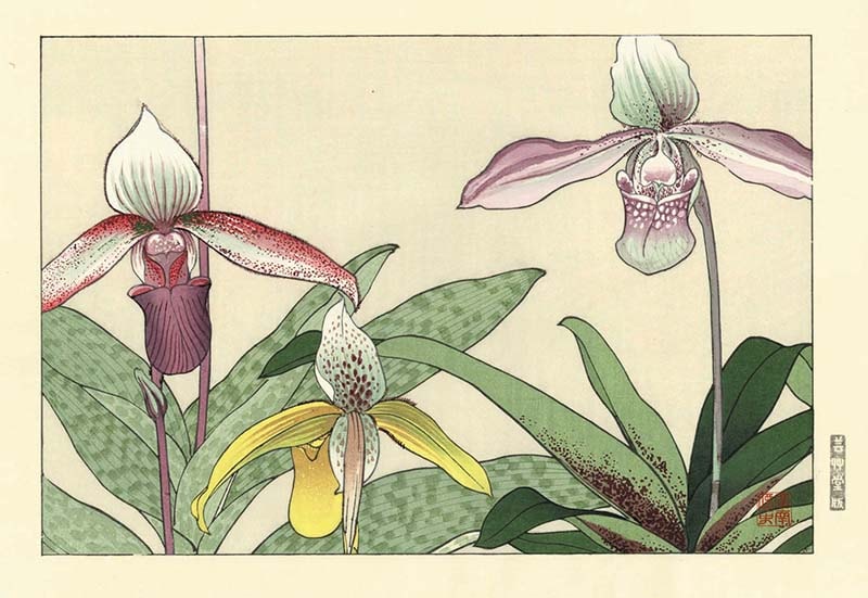 谷上廣南 木版画 シプリベジューム Konan Tanigami Woodcut