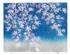並木一 木版画 - Sakura さくら - Hajime Namiki Woodcut
