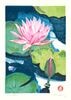 壬生川純一　木版画　水上の花ーJunichi Mibugawa Lotus on the Water