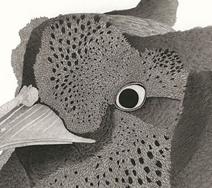 木版画のことなら『木版画 版元 芸艸堂 Woodblock print』