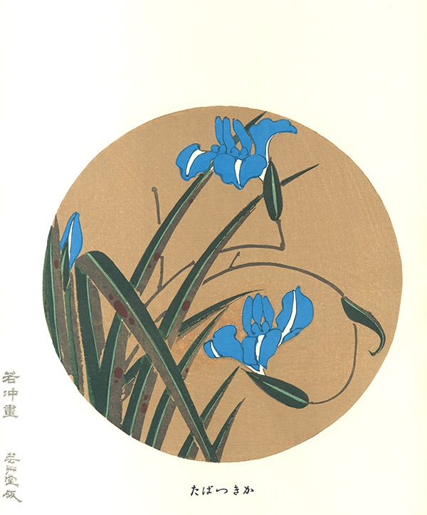 ƣ ǲ衡10 ĤФJakuchu Ito Woodcut