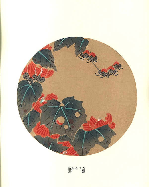 ƣ ǲ衡11 氪ʤˡJakuchu Ito Woodcut