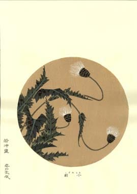 貴重1983年豪華出版◇「若冲 (Jakuchū)」 貴重1983年豪華出版